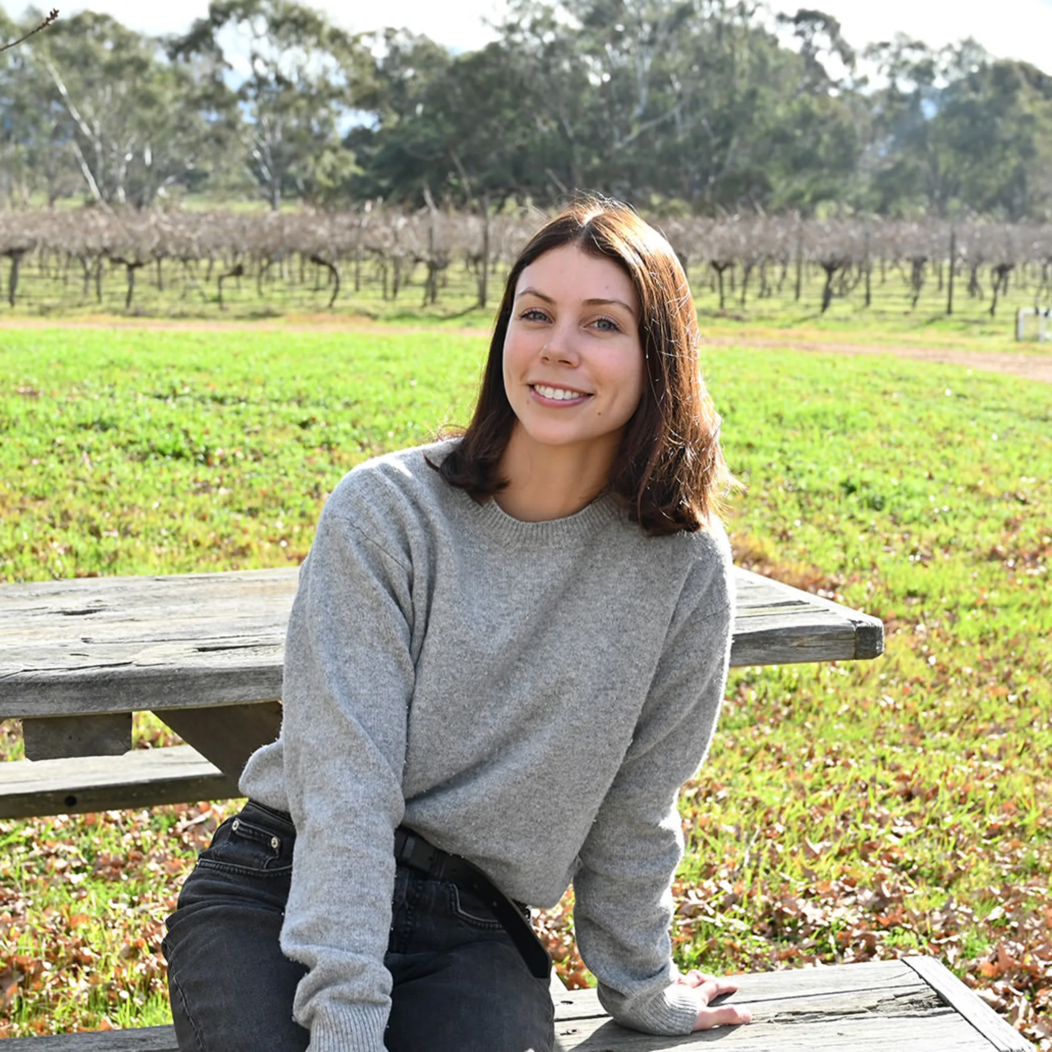vineyard portrait in great western