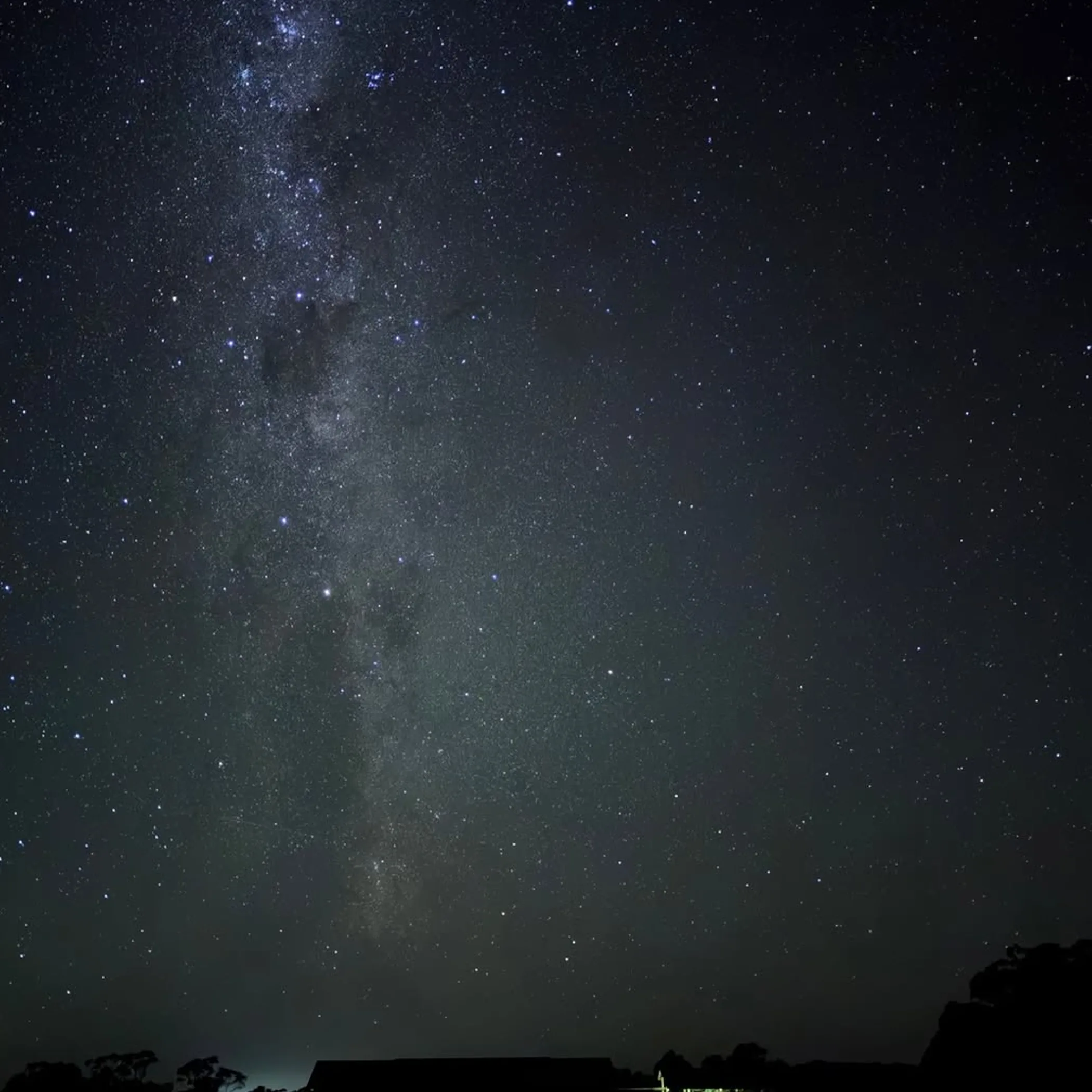 night sky in wine region